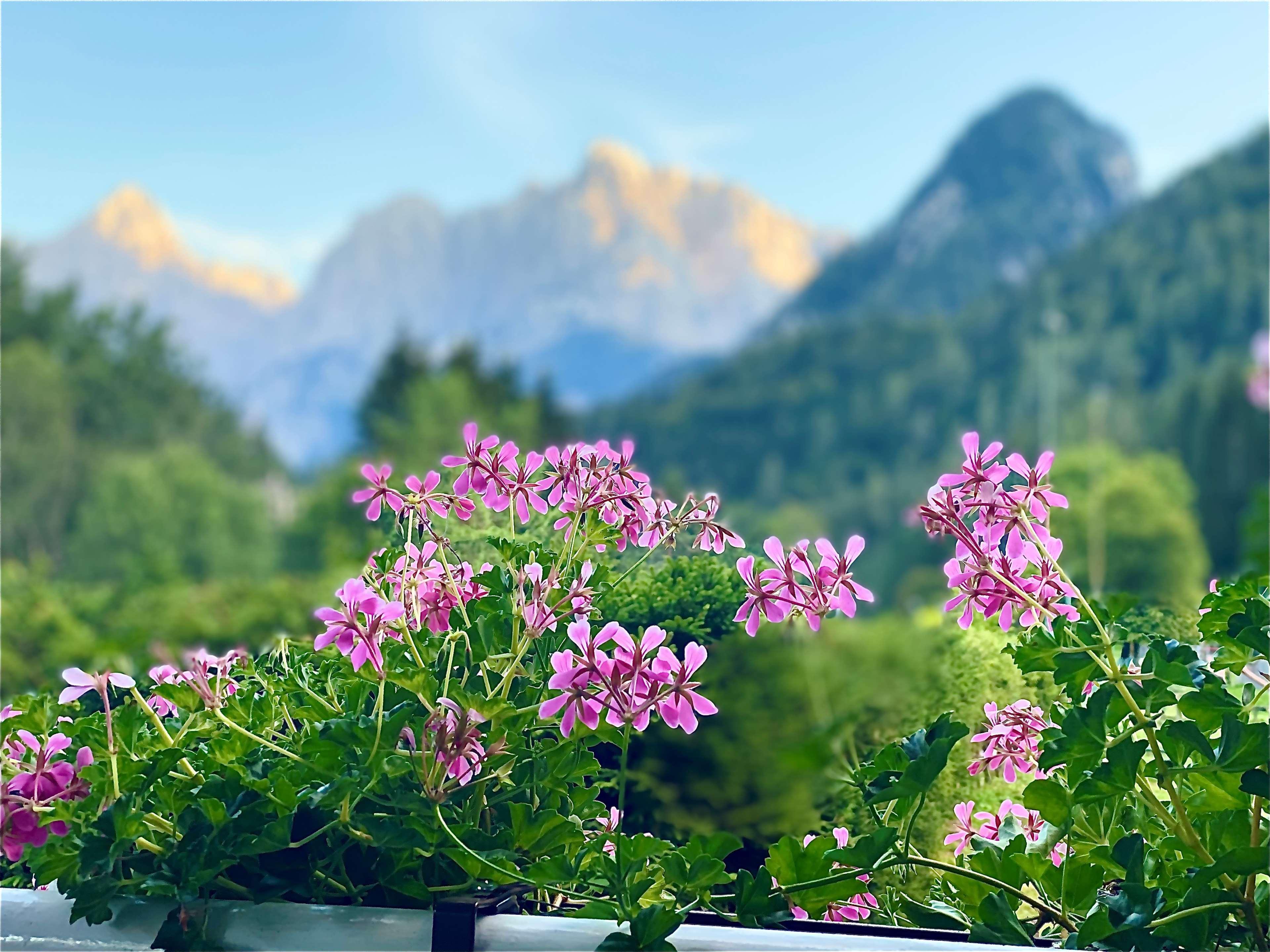 Best Western Hotel Kranjska Gora Exterior foto